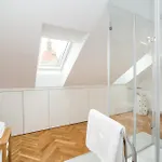 Large And Modern In The Heart Of Prag